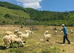 Những người trẻ "bỏ phố về quê" làm nông nghiệp sạch: Đam mê và liều vẫn chưa đủ!