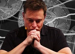 Tesla bất ngờ tiết lộ số tiền thua lỗ do 'chơi coin' trong năm 2021