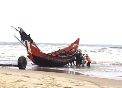 "Trúng lộc" đầu năm, chỉ vài tiếng ra biển, ngư dân Thừa Thiên Huế kiếm vài triệu nhờ bắt được nhiều cá khoai, cá trích