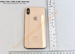 Xuất hiện mẫu iPhone X màu hiếm chưa từng có