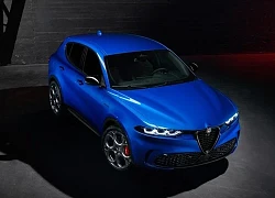 Alfa Romeo Tonale - Đối thủ mới của Audi Q3 và BMW X1 có giá dự kiến quy đổi từ 680 triệu đồng