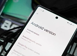 Android 13 sẽ có tên "Tiramisu"?