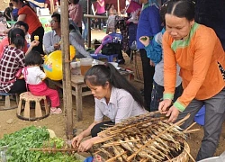 Lội suối Mường Hum ở Lào Cai bắt cá sứt mũi mang lên chiên giòn, nấu chua, nhà giàu đi qua cũng thèm ăn