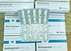 Nghệ An: Cấm buôn bán thuốc Molnupiravir điều trị Covid-19