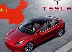 Tesla lại thu hồi hơn nửa triệu xe, dự định đặt trung tâm thiết kế tại Trung Quốc