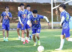 V-League phải ứng phó, thích nghi với dịch Covid-19