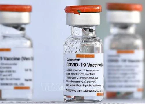 Hong Kong (Trung Quốc) triển khai tiêm vaccine ngừa COVID-19 cho trẻ từ 3 tuổi