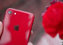 Mọi thứ iFan cần biết về iPhone SE 3 "đốt cháy" phân khúc tầm trung