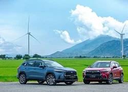 Người Việt mua bao nhiêu xe Toyota trong tháng 1/2022?