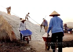 Thứ hạt nhà nào cũng cần mà giá vẫn thấp, diêm dân Bà Rịa - Vũng Tàu hụt hơi giữ nghề