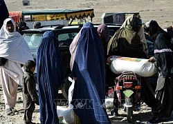 Taliban nỗ lực thuyết phục các nước nối lại viện trợ nhân đạo cho Afghanistan