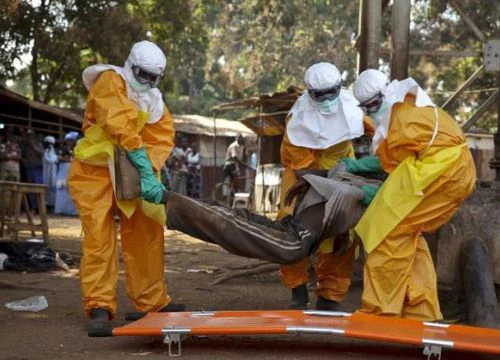 Virus Ebola vẫn tồn tại trong não người nhiều năm sau khi khỏi bệnh