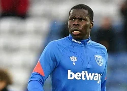 Zouma bị cấm thi đấu vì hành hạ mèo?