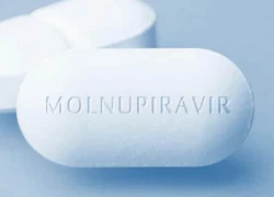 Cấp phép 3 thuốc Molnupiravir sản xuất trong nước