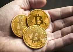 Giá Bitcoin hôm nay 17/2: Bitcoin suy yếu, sắc đỏ trỗi dậy