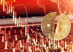 Giá Bitcoin hôm nay ngày 18/2: Bóng ma chiến tranh hiện hữu, giới đầu tư hoảng loạn tháo chạy