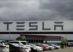 Hơn 400.000 ôtô điện Tesla đang bị điều tra vì sự cố phanh ảo