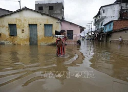 Mưa lũ lớn tại Brazil khiến ít nhất 18 người thiệt mạng