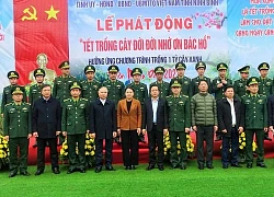 Ninh Bình: Phấn đấu trồng trên 5,5 triệu cây xanh và trên 200 ha rừng