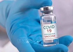 Triển vọng bào chế vaccine phòng ngừa các bệnh lây từ động vật sang người