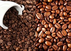 Giá cà phê hôm nay 18/2: Giá cà phê điều chỉnh nhẹ, lý do robusta được dự báo về dưới 2.000 USD/tấn?