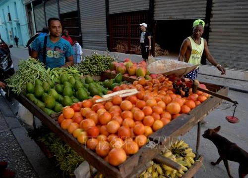 Cuba công bố chương trình quốc gia về an ninh lương thực