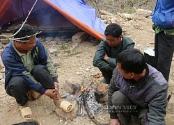 Giá rét buốt da, sương mù dày đặc, nhà nào ở Sơn La cũng đốt đống lửa to, trâu, bò không dám "ló mặt"