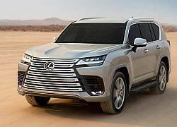 Lexus LX600 'khan hàng', khách đặt mua phải chờ 4 năm mới nhận được xe