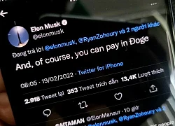 Lý do Elon Musk viết 'Đoge' trên Twitter