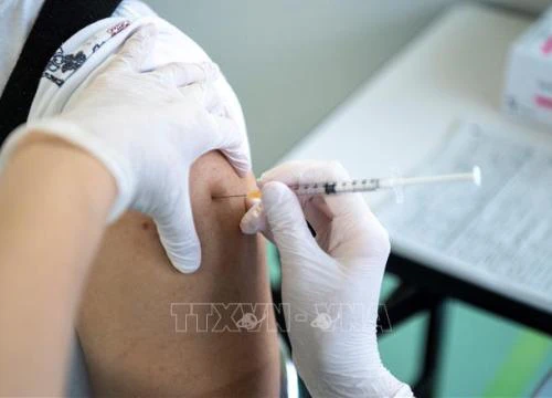 Nhật Bản công bố dữ liệu nghiên cứu về tiêm kết hợp vaccine mũi thứ ba