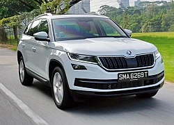 Skoda sẽ bắt đầu sản xuất ô tô tại Quảng Ninh ngay trong năm nay?