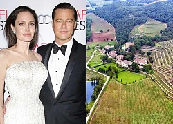 Brad Pitt và Angelina Jolie thêm căng thẳng vì khu đất 485 ha