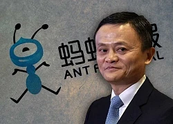 Cây muốn lặng, gió chẳng dừng tỷ phú Jack Ma lại bị sờ gáy?