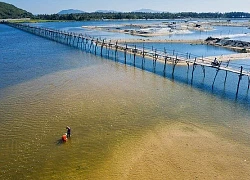 Cô gái lái xe máy qua cây cầu gỗ "dài nhất Việt Nam", tất cả nín thở theo dõi