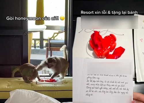 Đặt resort sang xịn để kỷ niệm trăng mật, cặp đôi gặp kẻ phá hoại ngang nhiên giữa ban ngày nhưng không ai dám xử lý