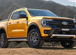 Ford Ranger hay Ford Everest thế hệ mới - Mẫu xe nào sẽ có mặt trước tại Việt Nam?