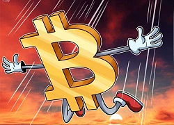 Giá Bitcoin tuột thảm về mốc 37.000 USD