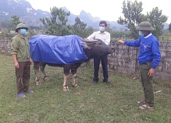 Hải Phòng: Cưỡng chế bãi ngao ở Kiến Thụy sẽ đẩy hàng nghìn lao động vào đường cùng