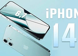 Lộ cấu hình iPhone 14: Liệu có lép vế trước Galaxy S22?