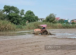 Ninh Bình: Cách nông dân Yên Mô chống lạnh, "nghiến răng" xuống đồng cấy lúa