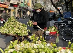 Nồng nàn hương bưởi xuống phố