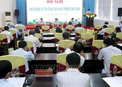 Tăng khả năng tiếp cận vốn và tín dụng cho người nuôi tôm