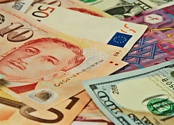 Tỷ giá USD, Euro ngày 22/2: Fed chia rẽ, USD không thể bứt phá