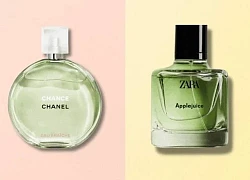 5 chai nước hoa Zara được coi là bản dupe hoàn hảo của Chanel, YSL&#8230; mà giá chỉ bằng 1/10