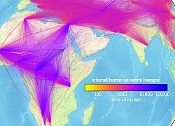 Cây phả hệ lớn nhất thế giới kết nối 27 triệu người trên Trái đất