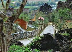 'Đà Lạt phía Bắc' mùa hoa nở và cuộc gặp gỡ đầy ý nghĩa của nhóm bạn ngấp nghé tuổi 30