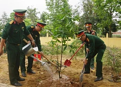 Mai vàng Huế sẽ thành thương hiệu nổi tiếng như hoa anh đào Nhật Bản