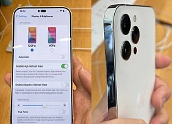 iPhone 14 Pro lộ diện hình ảnh "nét căng" trước thềm ra mắt?