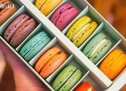 TOP 3 cách làm bánh macaron ngọt ngào, chuẩn vị và rực rỡ sắc màu