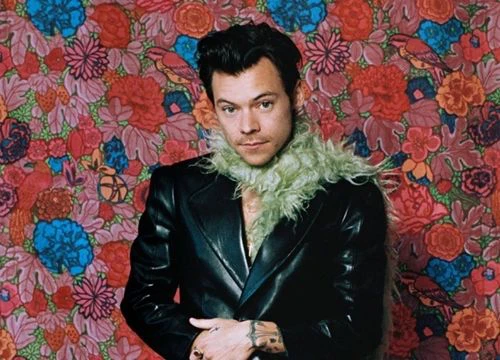 2 năm sau khi bị bắt, fan cuồng đi chuyển giới tiếp tục đột nhập vào nhà Harry Styles